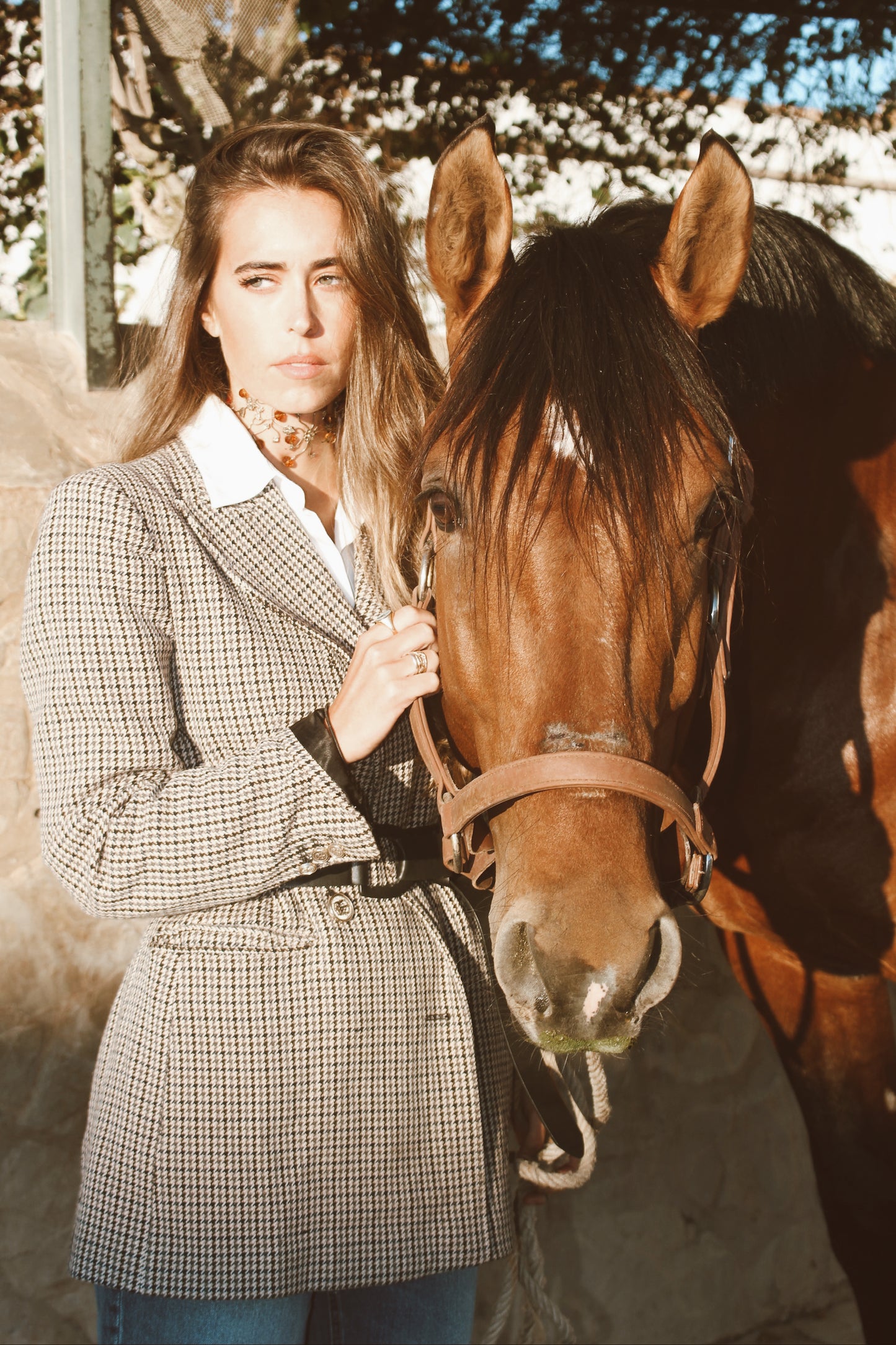 Choker Montecarlo Marrón