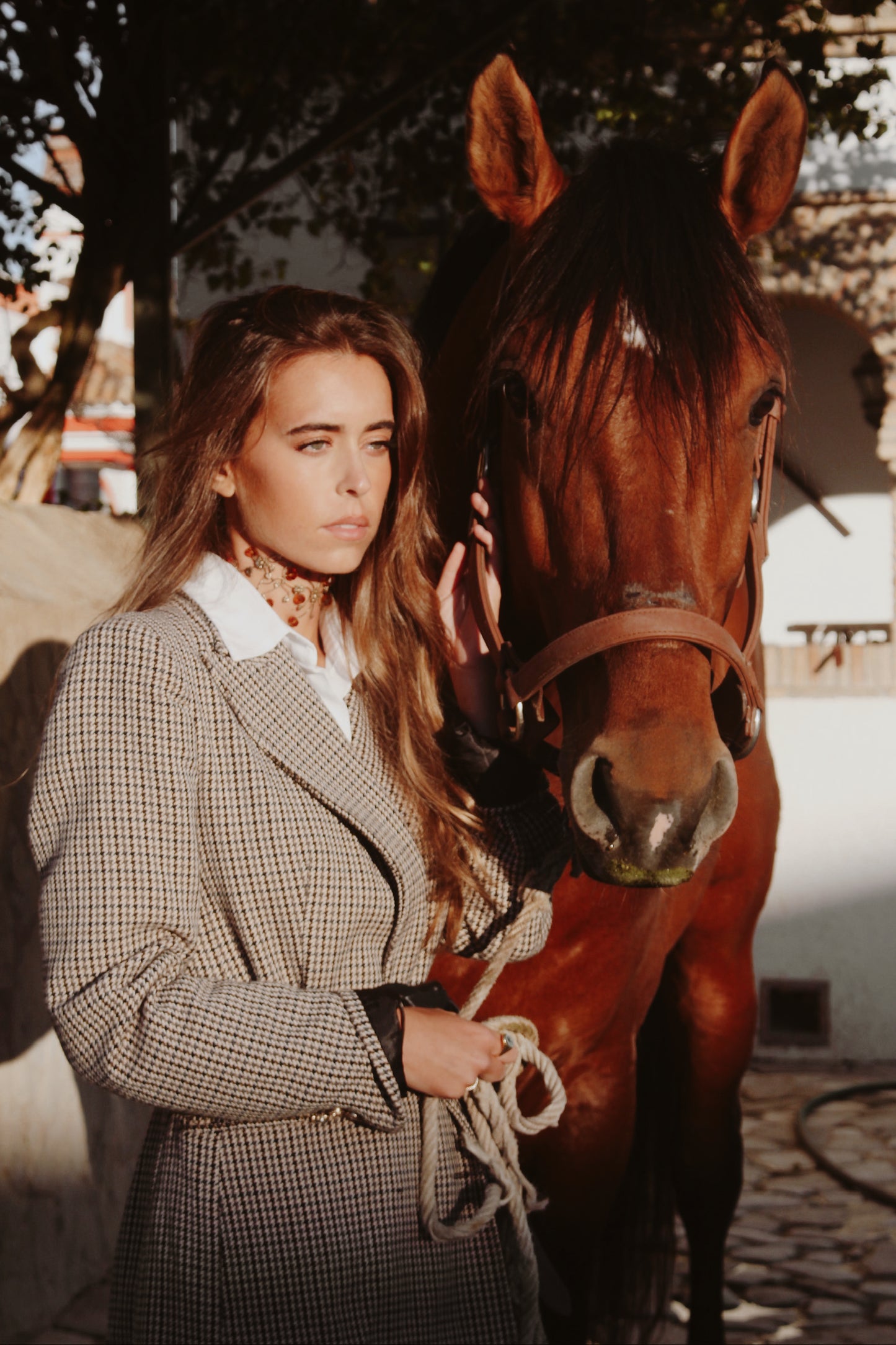 Choker Montecarlo Marrón